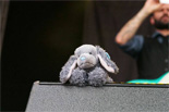 Urbanus & De Fanfaar zomertour! On The Road And Behind The Scenes
