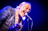 Urbanus & De Fanfaar zomertour! Gladiolen 2015