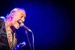 Urbanus & De Fanfaar zomertour! Gladiolen 2015