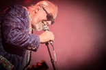 Urbanus & De Fanfaar zomertour! Gladiolen 2015