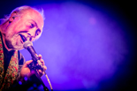 Urbanus & De Fanfaar zomertour! Gladiolen 2015