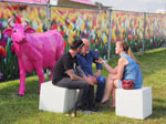 Fotostrip - Pinkpop