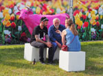 Fotostrip - Pinkpop