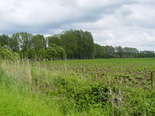 Inhuldiging / Inrijden 'De Ronde Van Urbanus' - De Urbanusfietsroute