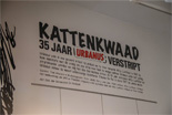 Kattenkwaad