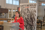 Kattenkwaad